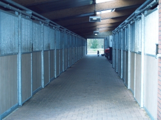 Boxen