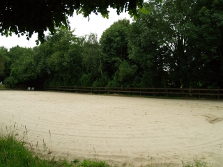 Buitenbak
