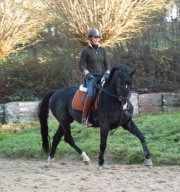 Urbanus foto 2